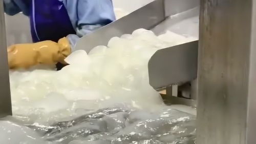 到食品廠上班后,我就對(duì)蘆薈酸奶沒興趣了,即使它再有營(yíng)養(yǎng)我也不去吃