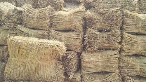 制作防汛草袋的原材料 稻夫草編制品廠