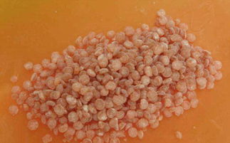 被環保局列為 雙高 產品的橡膠防老劑真的如此不堪嗎