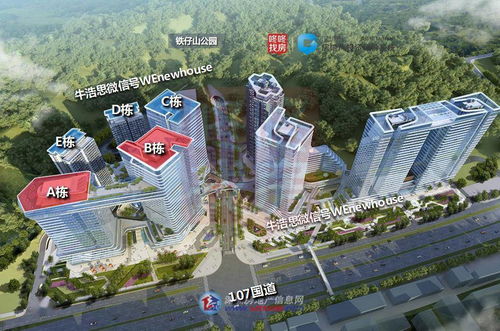 深圳新盤開發(fā)商破產(chǎn)重整警示錄 投資興辦實(shí)業(yè)的風(fēng)險(xiǎn)與應(yīng)對(duì)